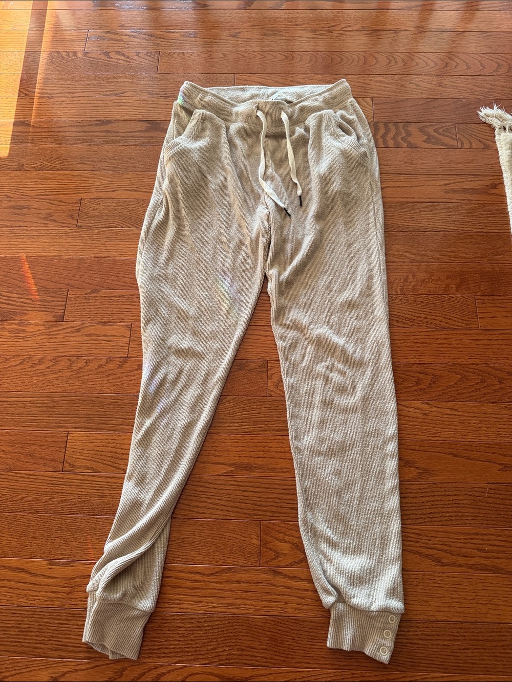 Z Supply Neutral Knit Drawstring Waist Pants